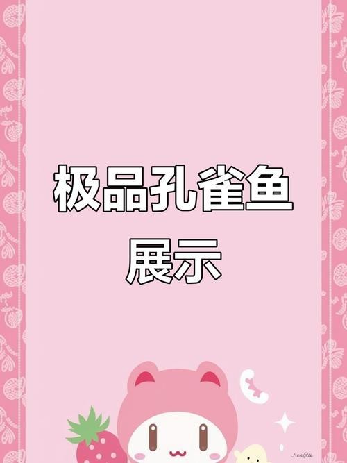 賽級孔雀魚價格是多少？ 賽級孔雀魚價格是多少？ 2025長城杯龍魚大賽 第4張