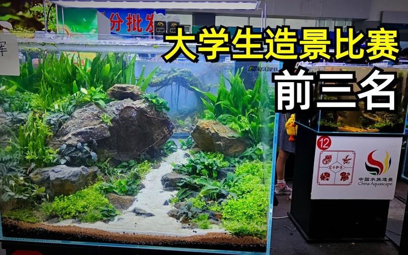 60草缸造景圖比賽作品