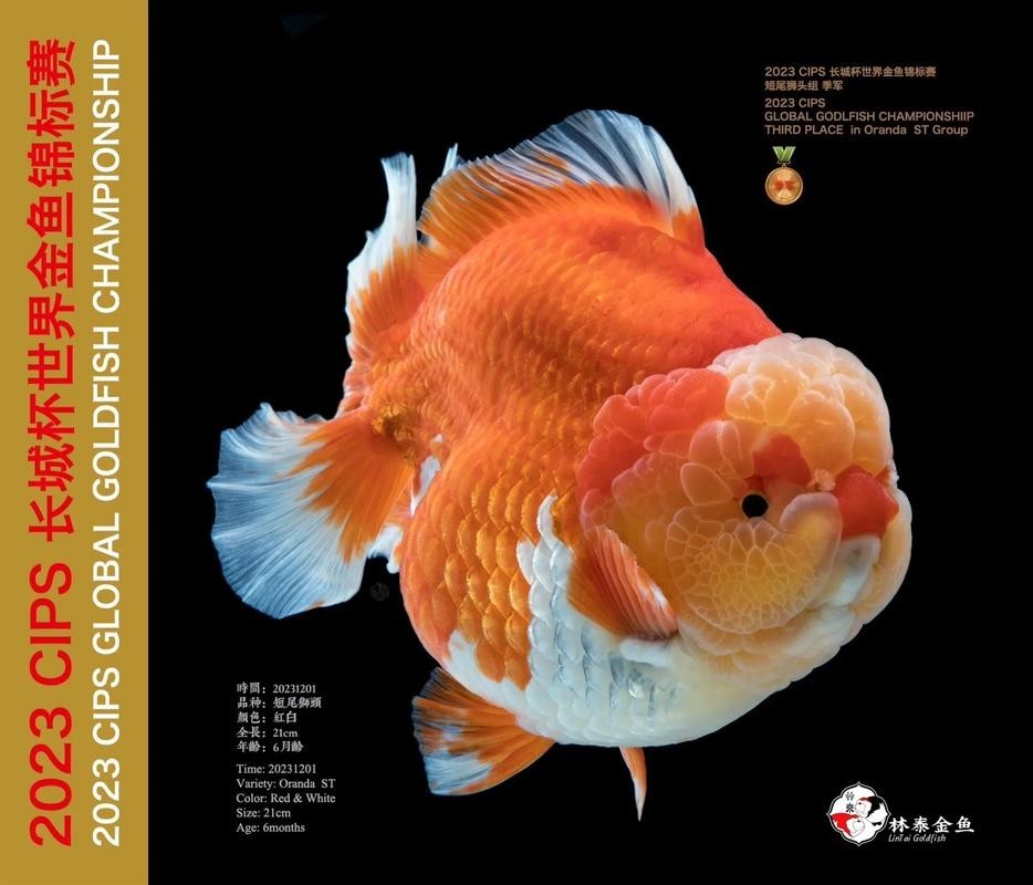 中國國際寵物水族展覽會