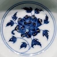 紅龍魚寓意
