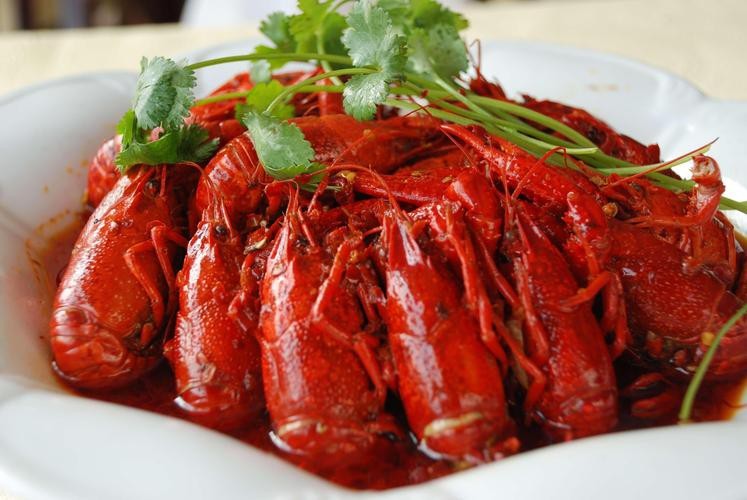 各種龍蝦圖片 龍魚論壇 第4張 各種龍蝦圖片 各種龍蝦圖片 龍魚論壇 第4張