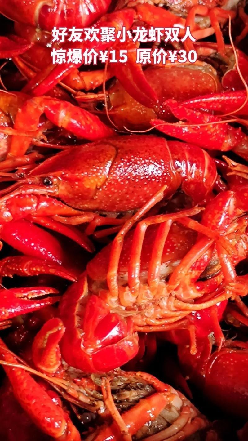 各種龍蝦圖片 龍魚論壇 第15張 各種龍蝦圖片 各種龍蝦圖片 龍魚論壇 第15張