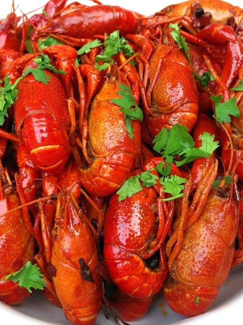 各種龍蝦圖片 龍魚論壇 第25張 各種龍蝦圖片 各種龍蝦圖片 龍魚論壇 第25張