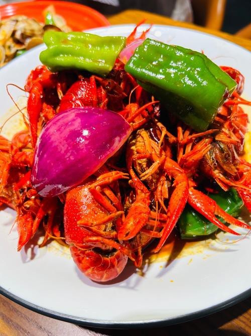 各種龍蝦圖片 龍魚論壇 第22張 各種龍蝦圖片 各種龍蝦圖片 龍魚論壇 第22張