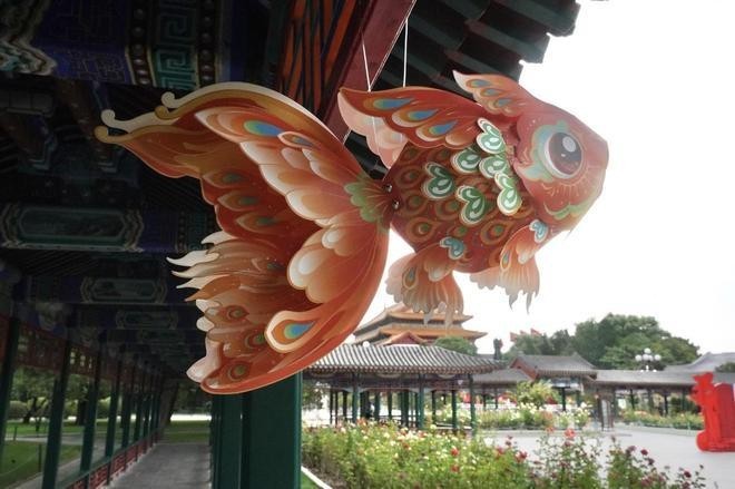 觀賞魚展一般持續幾天？