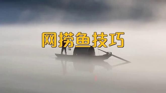 如何正確使用龍魚網(wǎng)撈？