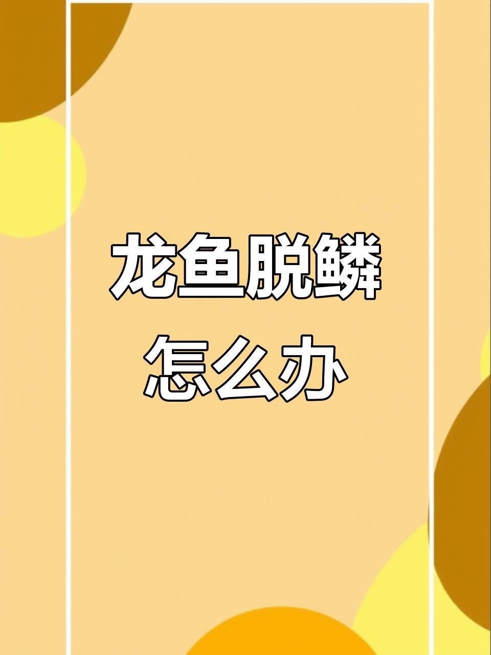 龍魚鱗片松動需要多久才能恢復？