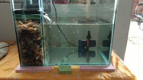 如何檢測魚缸中的氨氮含量：檢測魚缸中氨氮含量的方法