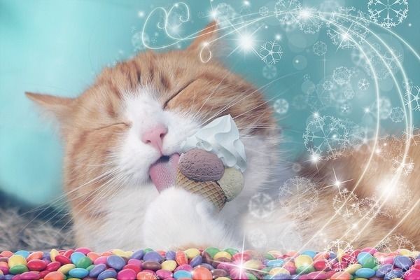 魚缸的水泵不工作原理圖：魚缸水泵不工作原理圖詳情
