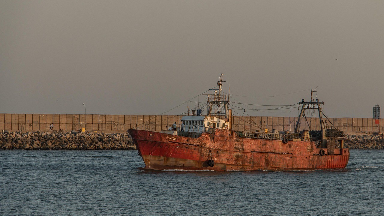 武漢市<strong><mark>新洲</mark></strong>區志紅水族館