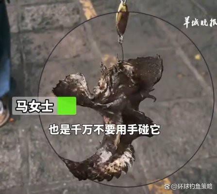 石狗公魚為何不建議吃 石狗公魚為何不建議吃 龍魚論壇 第1張