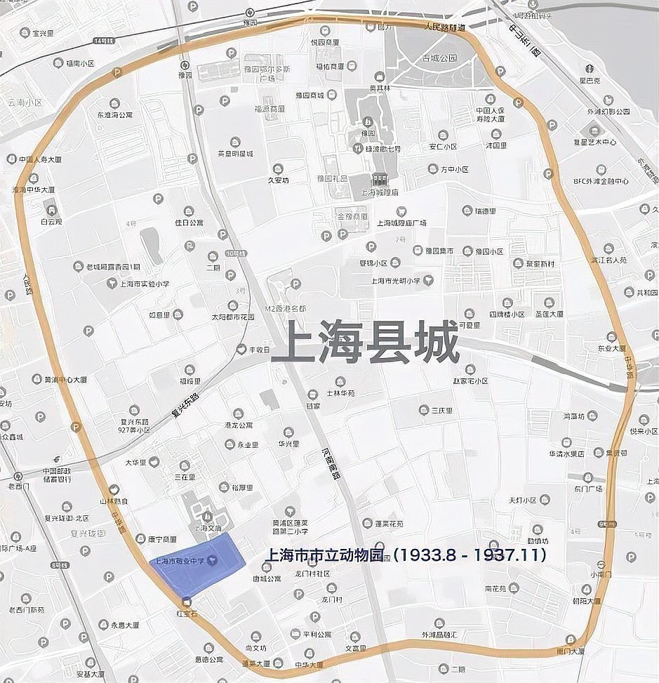 介紹一下中國金魚大賽的歷史