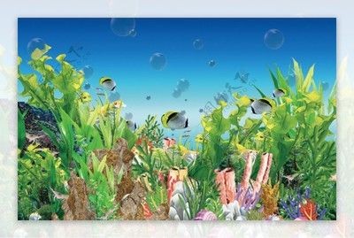 養龍魚的缸粘風景背景圖好嗎：養龍魚的缸粘風景圖有一定的優點，但也有需要注意的地方