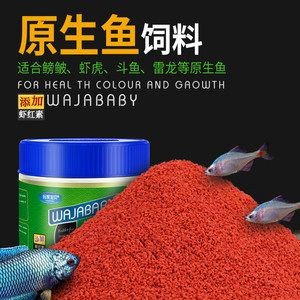 龍魚虎魚混養小時候喂什么飼料最好：龍魚虎魚混養的注意事項