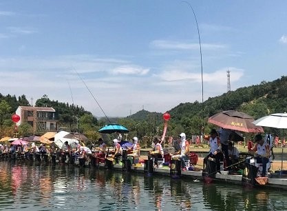 2024年紅龍魚比賽獎金分配