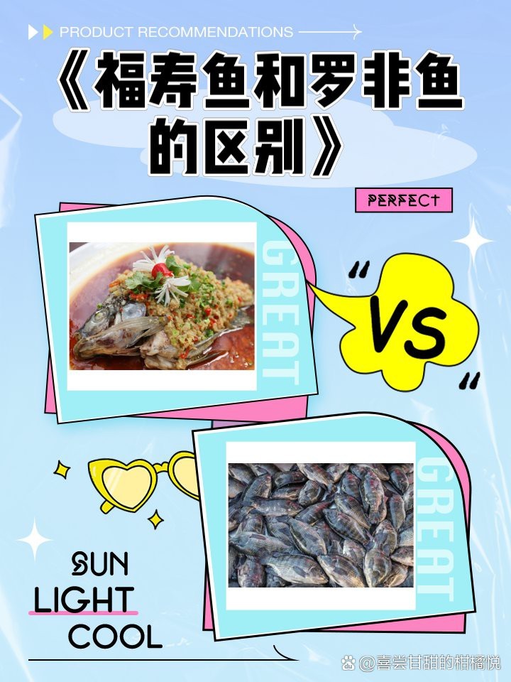 福壽魚圖片