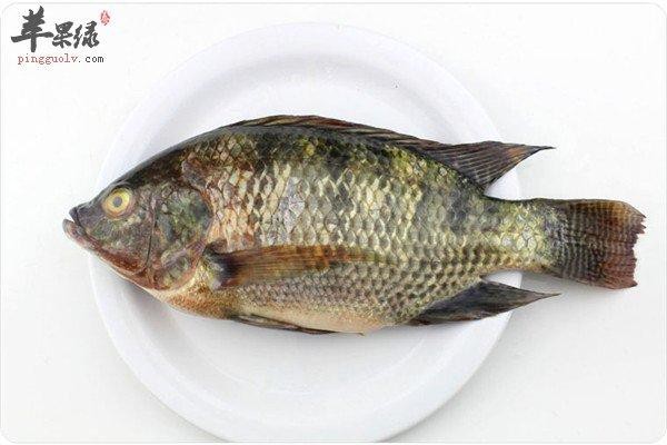 福壽魚圖片