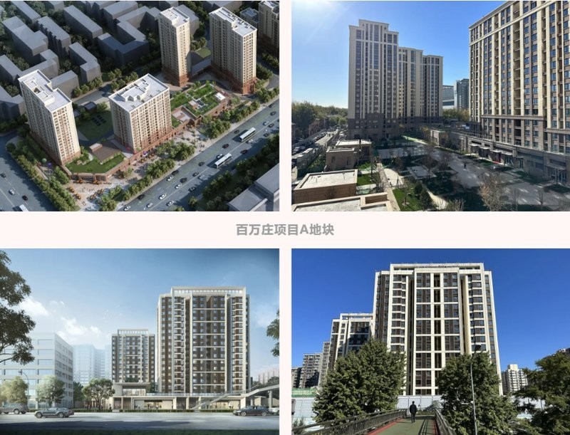 如何查詢2024年長城杯金質獎的獲獎名單？ 如何查詢2024年長城杯金質獎的獲獎名單？ 2025長城杯龍魚大賽 第6張