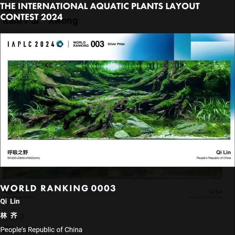如何查詢2024年長城杯金質獎的獲獎名單？ 如何查詢2024年長城杯金質獎的獲獎名單？ 2025長城杯龍魚大賽 第5張
