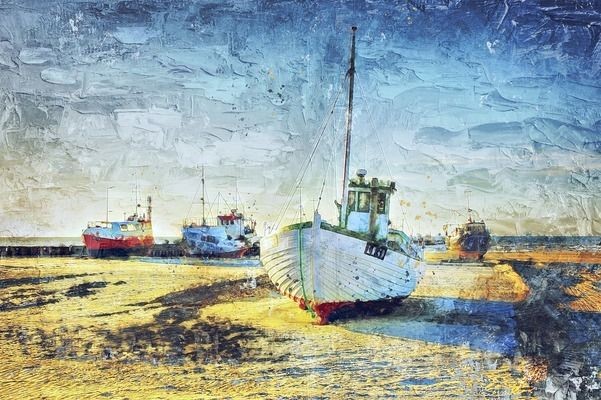 龍魚可以和帝王三間混養嗎，龍魚可以與帝王三間混養但需注意水質需求和魚類習性