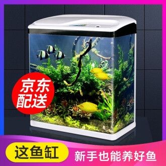 浮法玻璃魚缸的使用壽命如何選擇？：浮法玻璃膠使用壽命大約在8-10年左右，浮法玻璃膠使用壽命