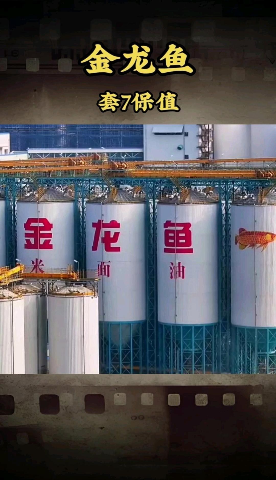 金龍魚的主營業(yè)務(wù)有哪些？ 金龍魚的主營業(yè)務(wù)有哪些？ 龍魚論壇 第1張