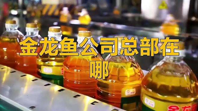 金龍魚的主營業(yè)務(wù)有哪些？ 金龍魚的主營業(yè)務(wù)有哪些？ 龍魚論壇 第4張