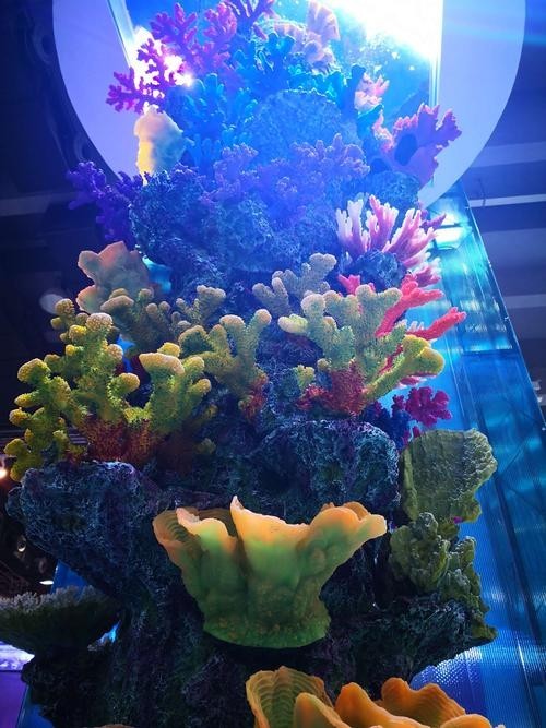 如何獲取廣州水族展的門票信息？