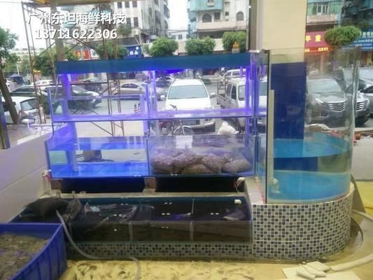 查看魚缸：關于魚缸的diy方法