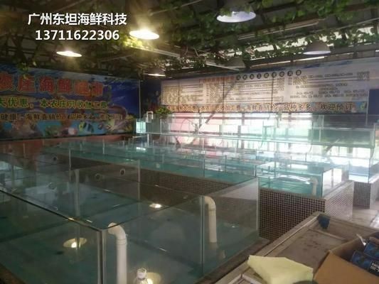 查看魚缸：關于魚缸的diy方法
