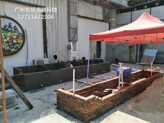 查看魚缸：關于魚缸的diy方法