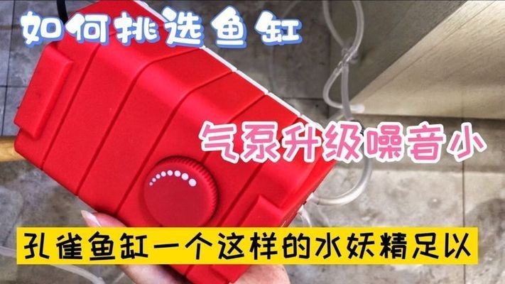 索普魚缸怎么樣好用嗎視頻：索普魚缸怎么樣？