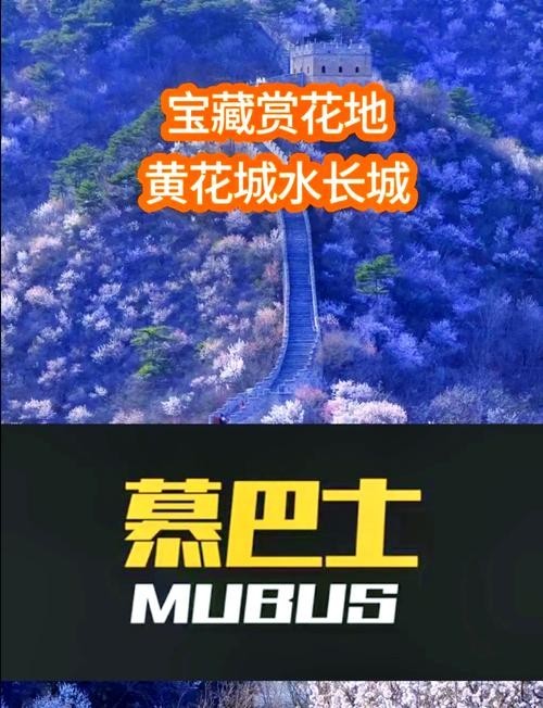 如何預訂水長城的游船？ 如何預訂水長城的游船？ 2025長城杯龍魚大賽 第9張
