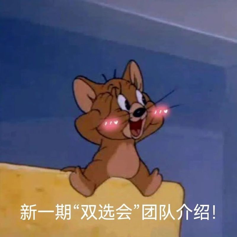 社會組別有哪些參賽隊伍？