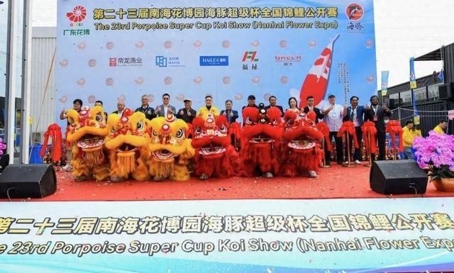 觀賞魚比賽2024年最新比賽結果 2025長城杯龍魚大賽 第2張 觀賞魚比賽2024年最新比賽結果 觀賞魚比賽2024年最新比賽結果 2025長城杯龍魚大賽 第2張