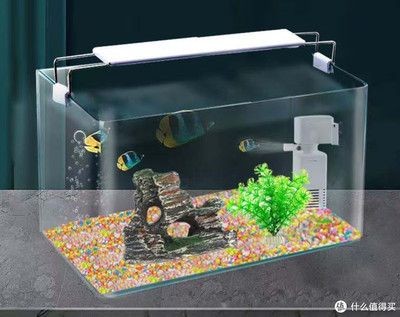 魚缸照明燈的使用與維護與壽命：觀賞魚缸照明燈的使用與維護與壽命 魚缸照明燈的使用與維護與壽命：觀賞魚缸照明燈的使用與維護與壽命 魚缸百科 第3張
