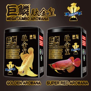 賽級金龍是雜牌還是名牌