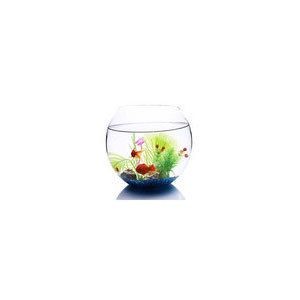 魚缸品牌排名前十的品牌（魚缸品牌排名前十的品牌排名前十的品牌） 魚缸品牌排名前十的品牌（魚缸品牌排名前十的品牌排名前十的品牌） 魚缸百科 第1張
