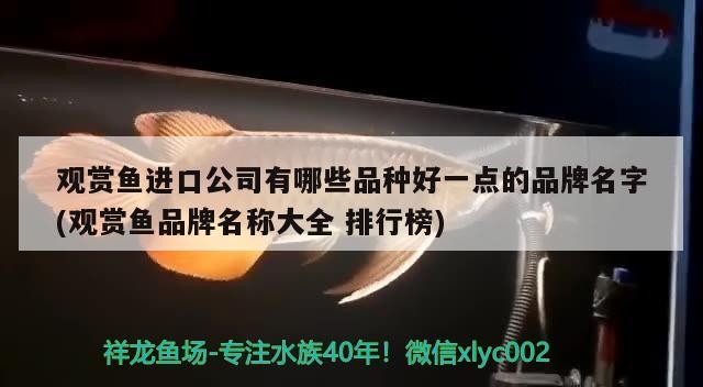 盈江縣精益水族館 盈江縣精益水族館 全國水族館企業名錄 第3張