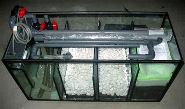 魚缸過濾器什么牌子：魚缸過濾器品牌介紹