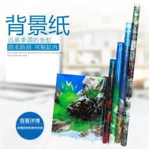 缸內(nèi)無(wú)管件魚(yú)缸選擇：無(wú)管件魚(yú)缸的安全隱患無(wú)管件魚(yú)缸設(shè)計(jì)的魚(yú)缸設(shè)計(jì)好處