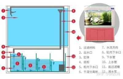 缸內(nèi)無(wú)管件魚(yú)缸選擇：無(wú)管件魚(yú)缸的安全隱患無(wú)管件魚(yú)缸設(shè)計(jì)的魚(yú)缸設(shè)計(jì)好處