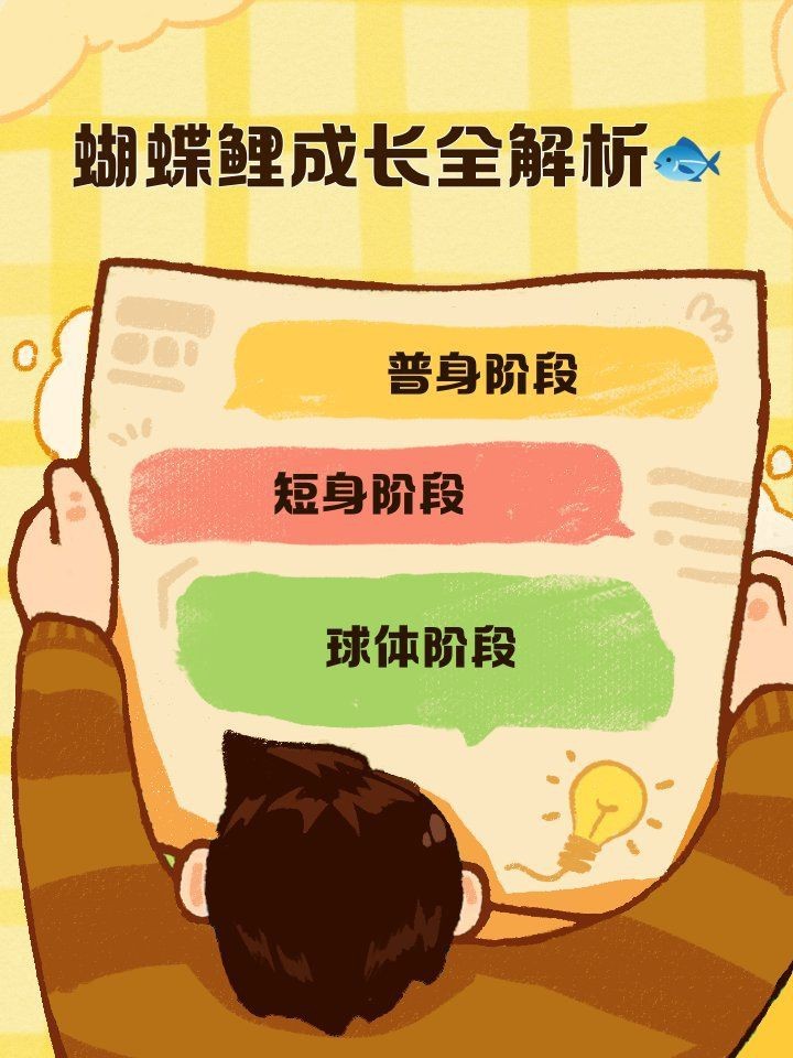 蝴蝶鯉成長的四個階段 蝴蝶鯉成長的四個階段 龍魚論壇 第5張