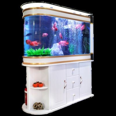十大最好養的觀賞魚:十大最好養的小型冷水觀賞魚 魚缸百科 第1張 十大最好養的觀賞魚:十大最好養的小型冷水觀賞魚 十大最好養的觀賞魚:十大最好養的小型冷水觀賞魚 魚缸百科 第1張