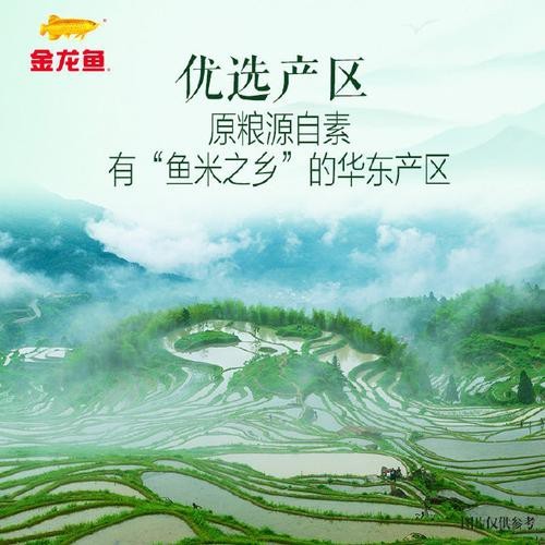 金龍魚是哪里的廠家生產的