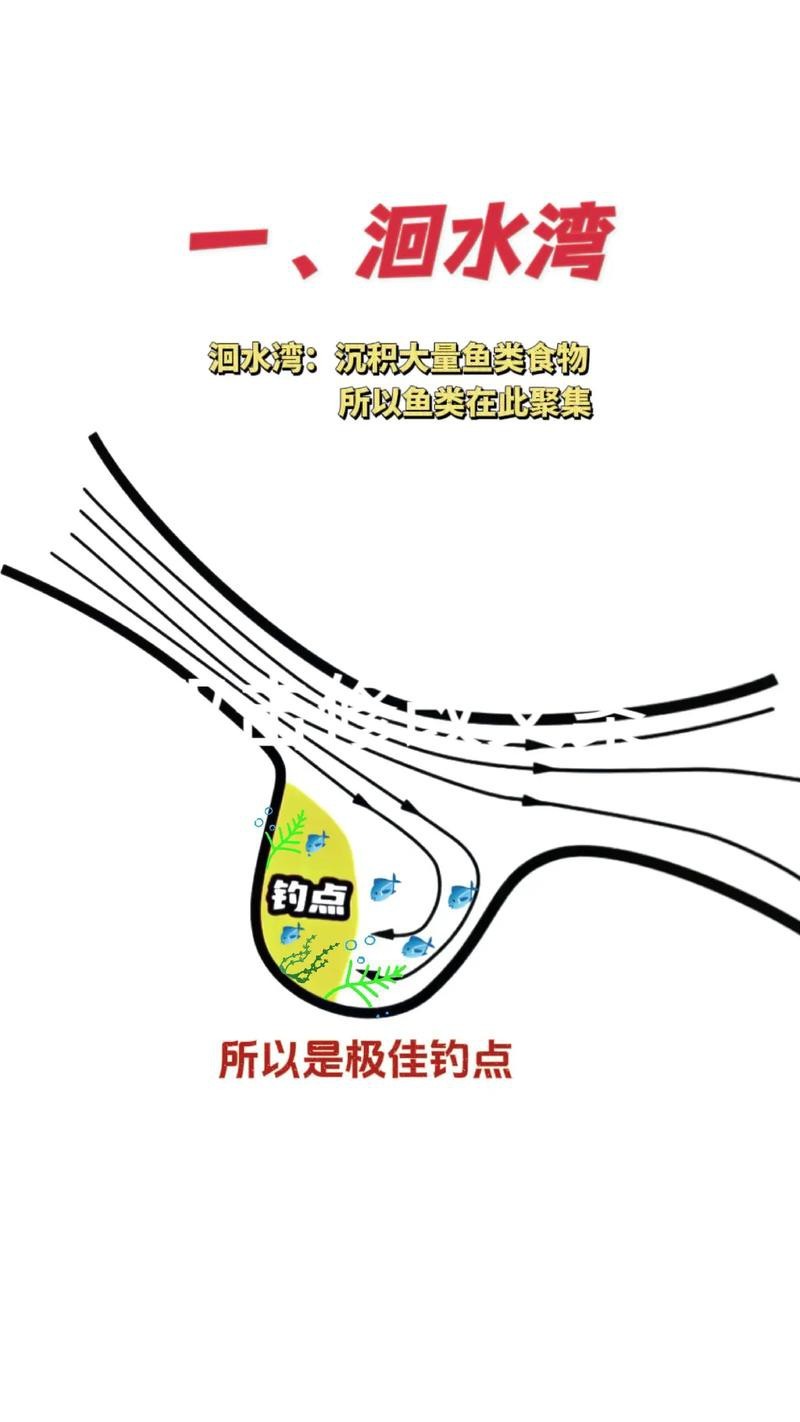 原神銀龍魚用什么魚餌