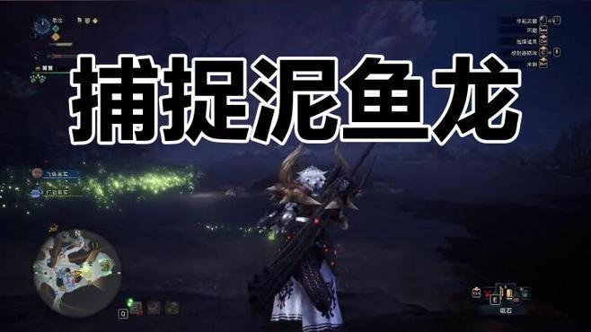 泥龍魚(yú)怎么打 泥龍魚(yú)怎么打 龍魚(yú)百科 第2張
