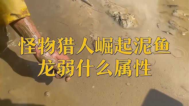 泥龍魚(yú)怎么打 泥龍魚(yú)怎么打 龍魚(yú)百科 第3張