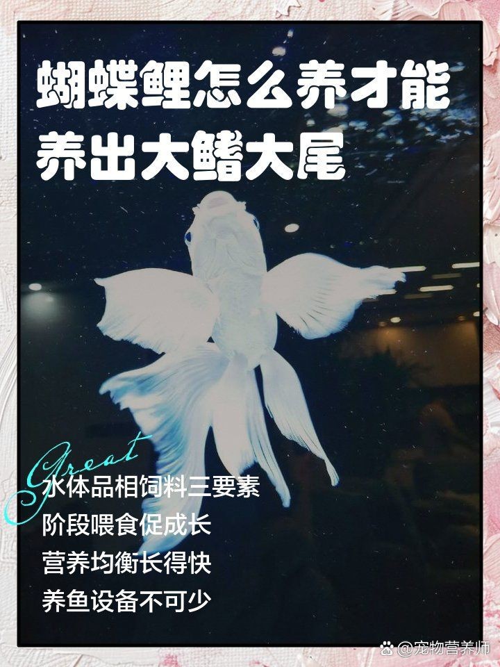 能否提供環境應激對魚類的具體案例，亞馬遜河的熱帶雨林生態系統應激對魚類的生理影響 能否提供環境應激對魚類的具體案例，亞馬遜河的熱帶雨林生態系統應激對魚類的生理影響 龍魚百科 第2張