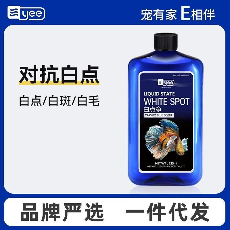 虎紋恐龍魚市場價(jià)